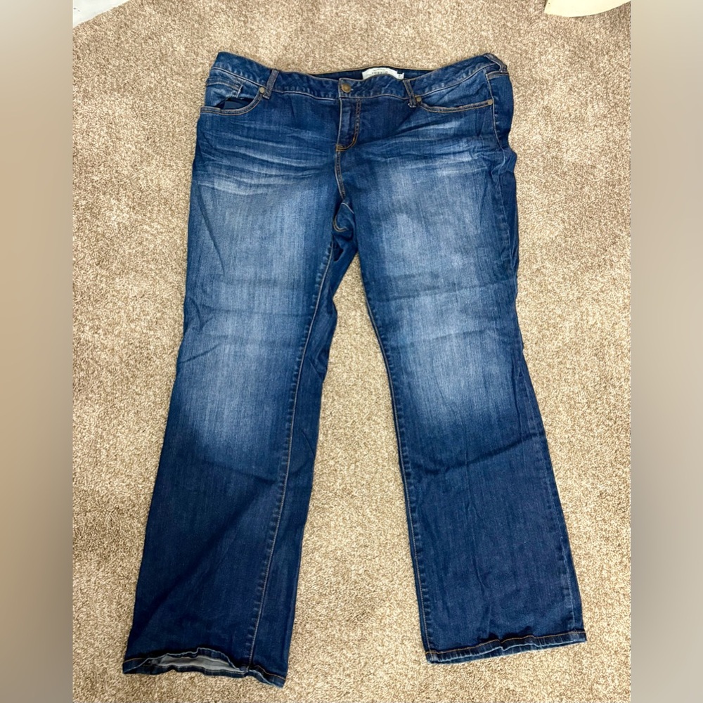 Blue Denim Jeans by Torrid